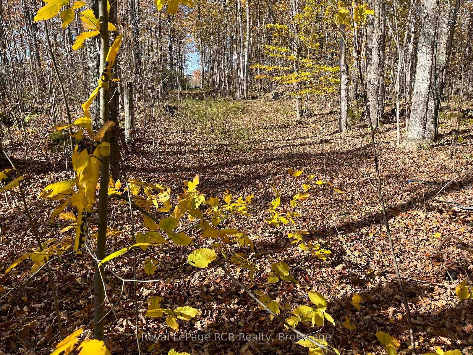 Property Photo:  Part Lot 17 Grey Road 17 Road E  ON N0H 2T0 