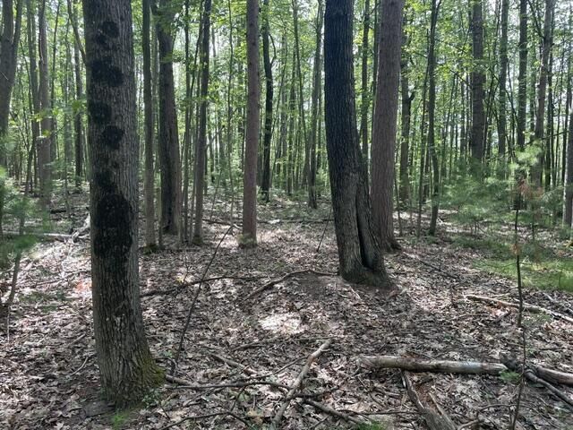 Property Photo:  2680 E Mullett Lake Road  MI 49749 