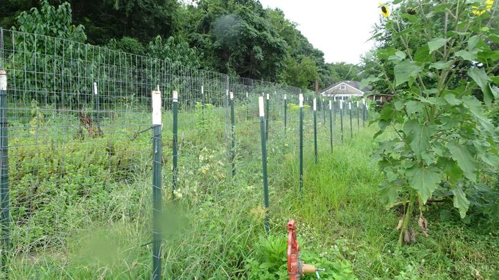 Property Photo: 33 Clinton Springs Avenue OH 45217
