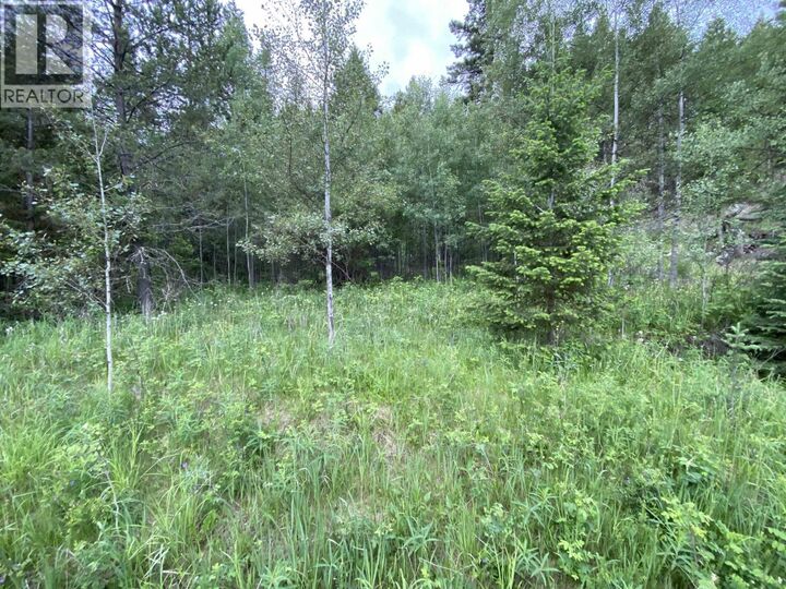 Property Photo:  6050 Easzee Drive  BC V0K 2Z0 