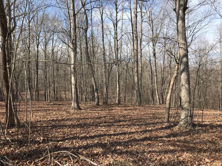 Property Photo:  504 Wilderness Way  TN 37327 