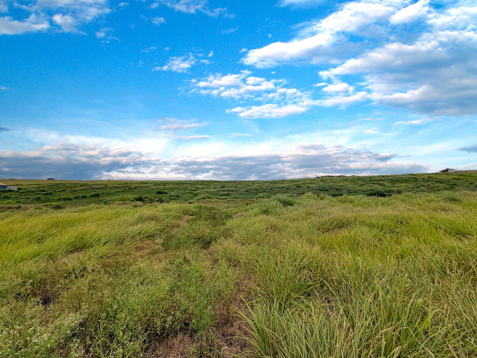 Property Photo:  93-4638 Lio Lani Road  HI 96772 