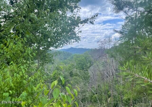 Property Photo: Lot 4 River Birch Way TN 37862