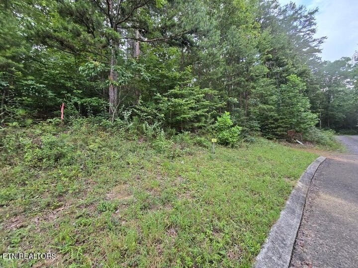Property Photo:  Lot 157 Lower Brow Rd  TN 37327 