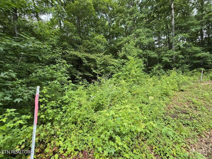 Property Photo:  Lot 142 Lower Brow Rd  TN 37327 