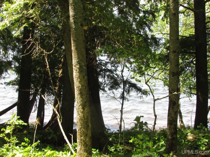 Property Photo: Tbd East Shore Road Road MI 49947