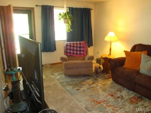 Property Photo:  220 Suppiger Lane 213  IL 62249 