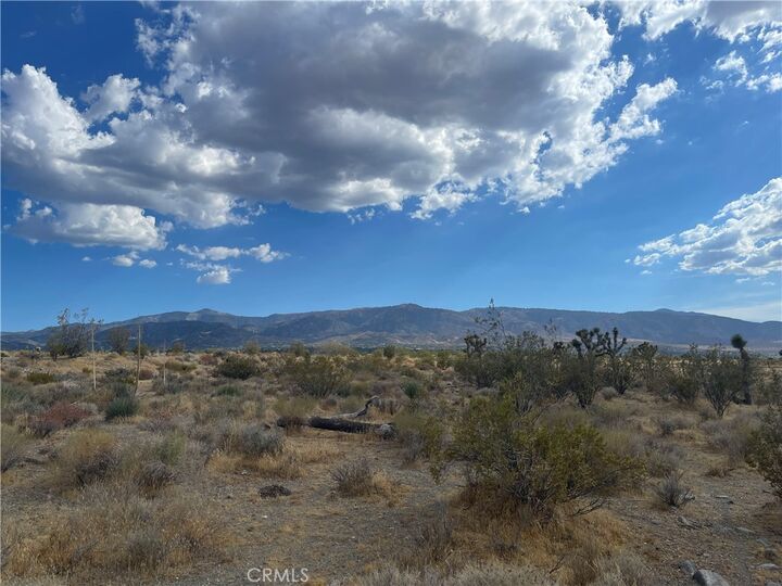 Property Photo:  2163 Calaveras  CA 92372 