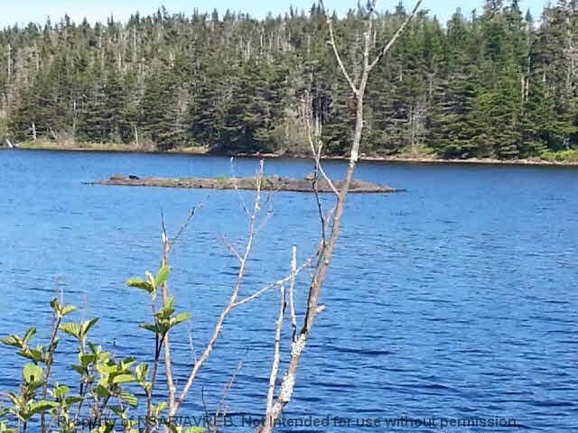 Property Photo:  Lot 11 East Side Grand River Road  NS B0E 1M0 