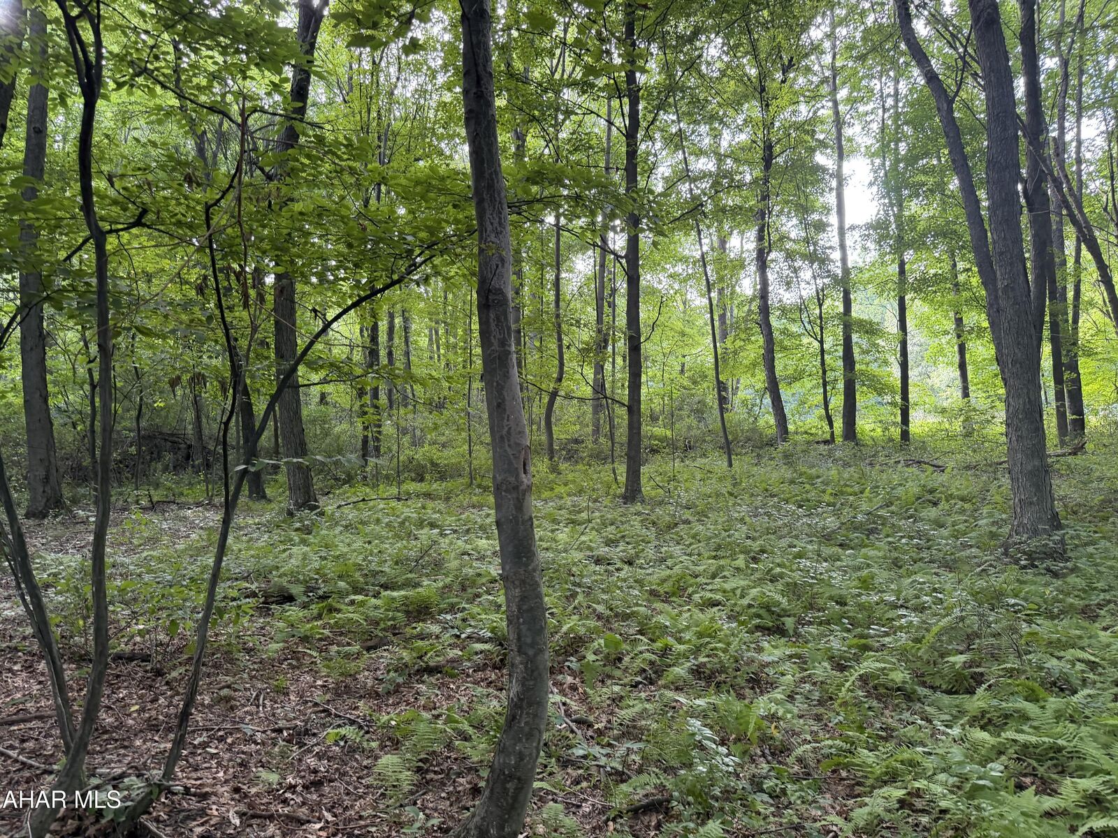 Property Photo: 00 Winterberry Lane Lot 14 PA 16657