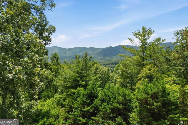 Property Photo:  93 Jamie Lane  GA 30512 