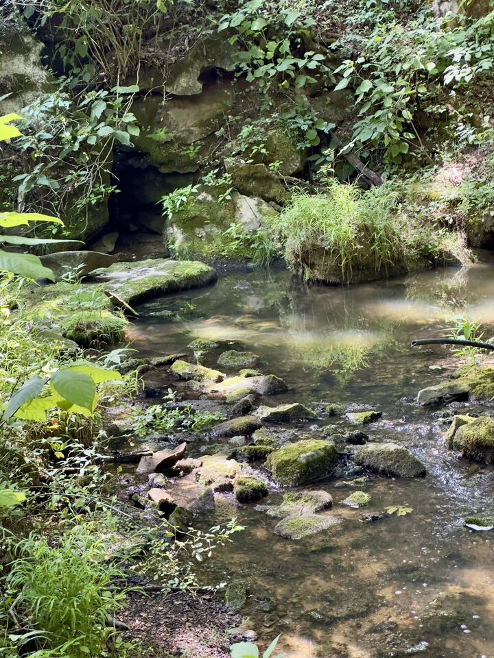 Property Photo: 7120 N Hwy 127 KY 42602