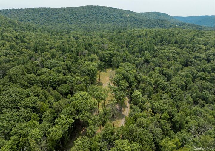 Property Photo: 276 E Hill Road NY 12017