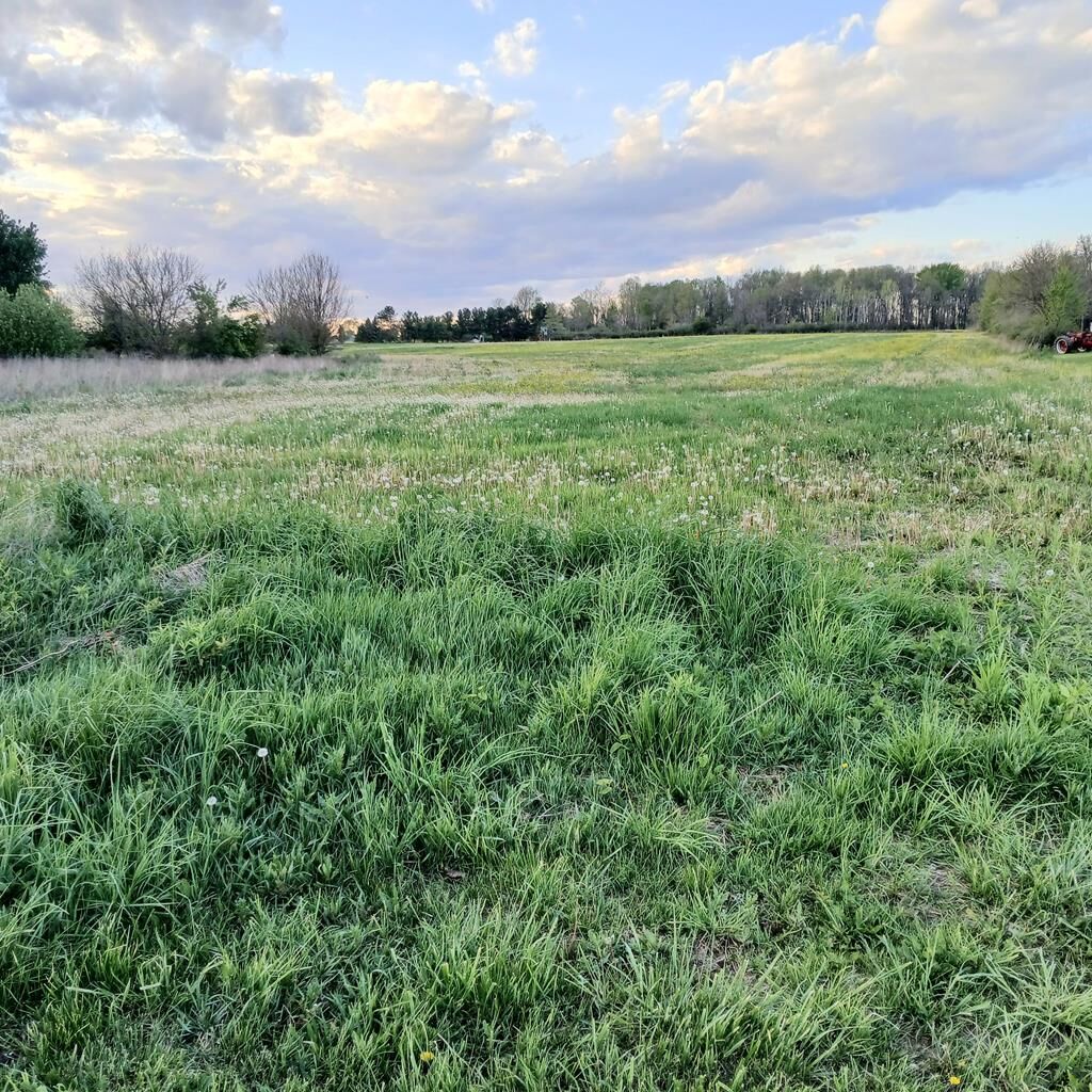Property Photo: 2170 Crescent Rd OH 44837