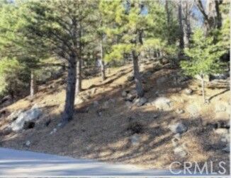 Property Photo: 0 Thunderbird CA 92352