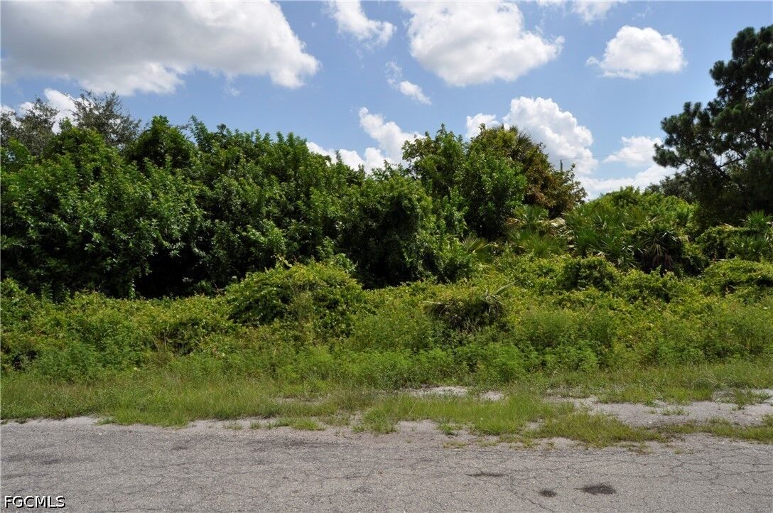 Property Photo:  1109 Bard Court  FL 33913 