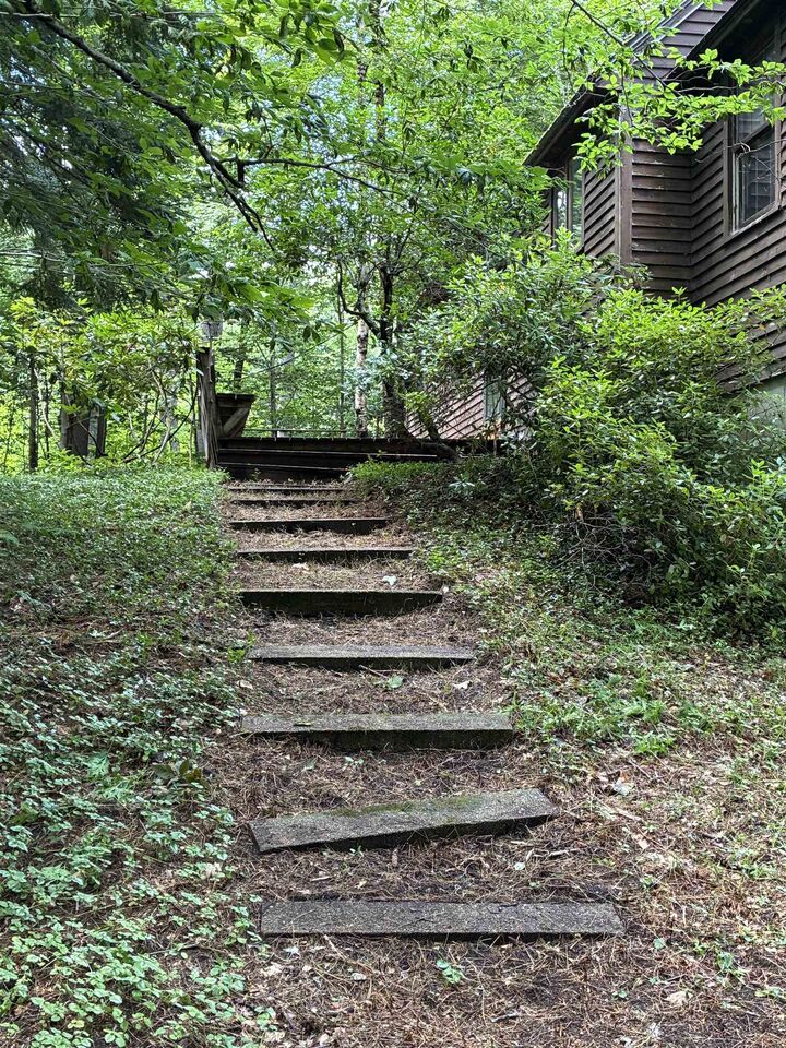 Property Photo: 224 Forest Road NH 03449-5708