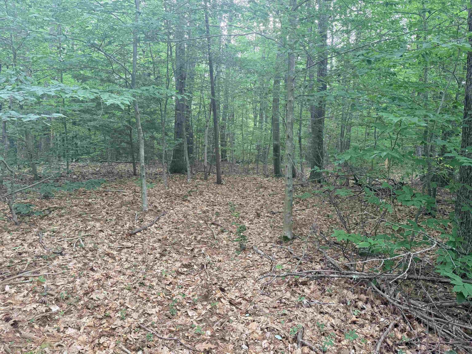 Property Photo: 402 Baptist Hill Road NH 03224