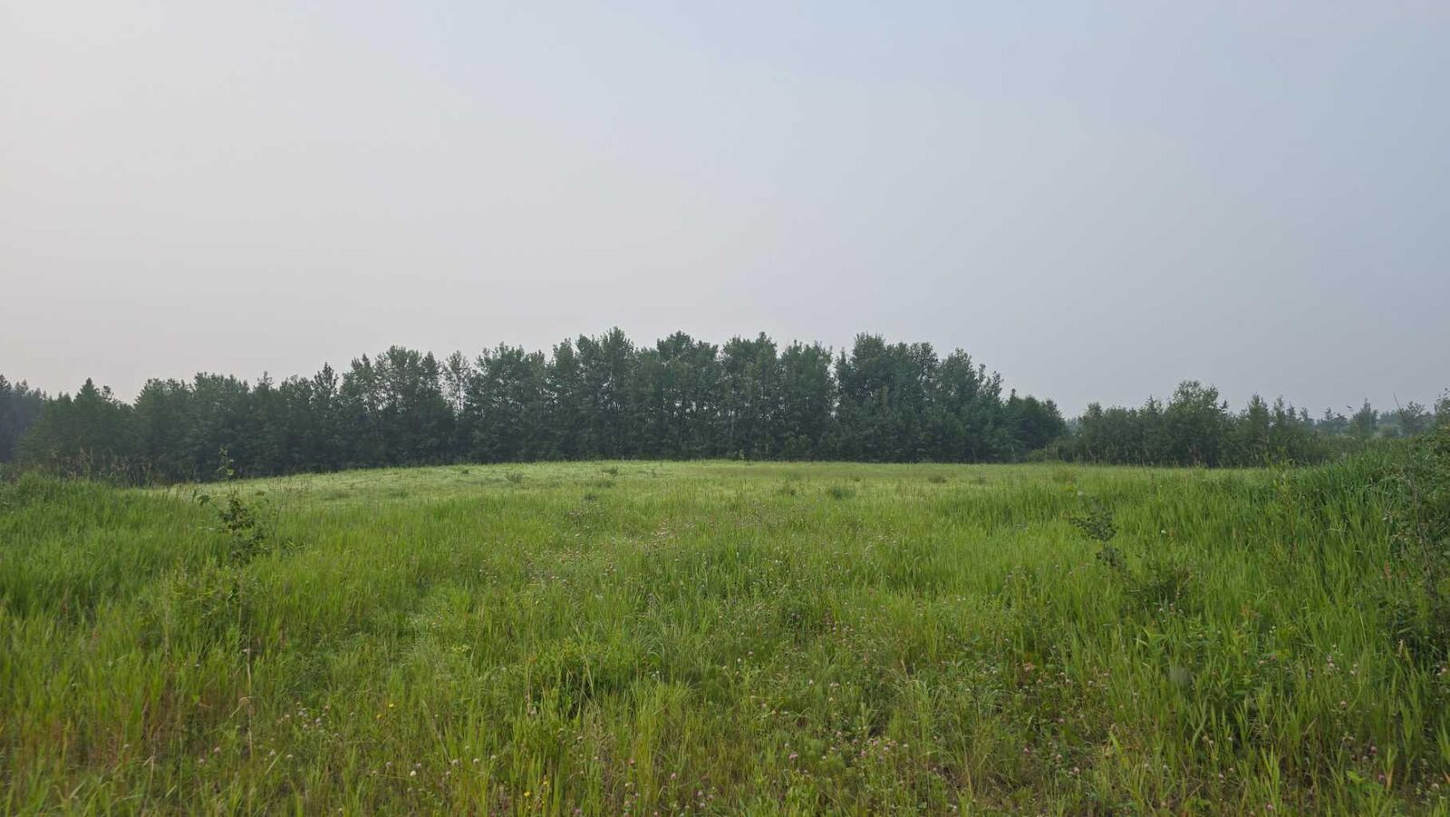 Property Photo: Lot 4, Block 2 Plan 1621740 AB T0A 2T0
