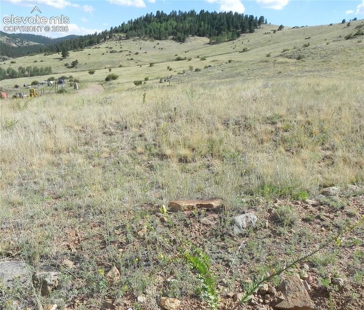 Property Photo:  Lot 1-2 Colorado Avenue  CO 80813 