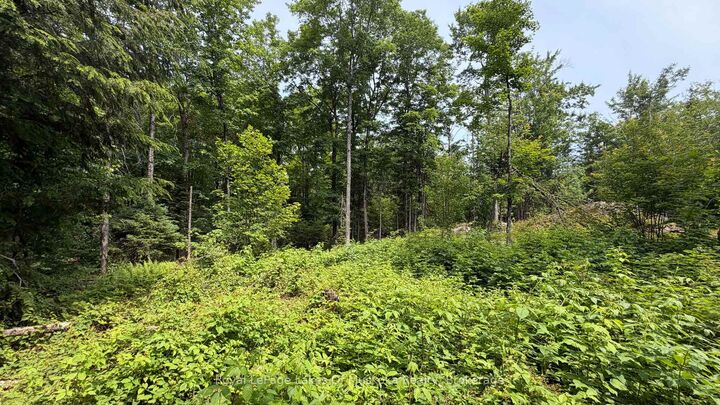 Property Photo:  0 Matthiasville Road  ON P1L 1X1 
