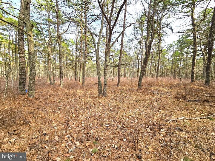 Property Photo:  17 Birchwood Drive  NJ 08087 