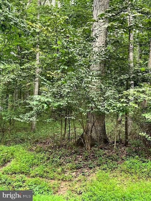 Property Photo:  Baumgardner Rd S  MD 21757 