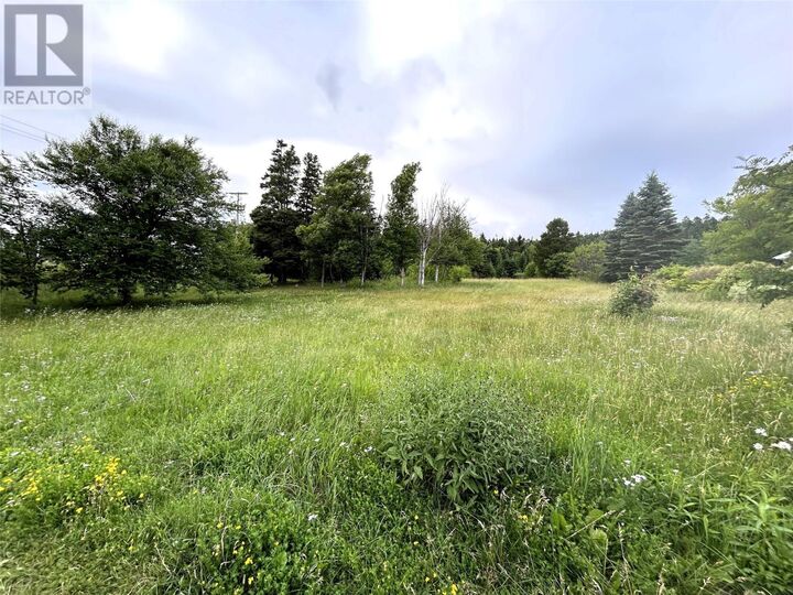 Property Photo:  59 Hillview Avenue  NL A2N 1S3 