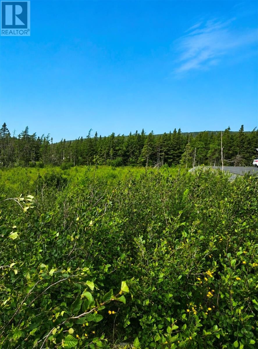 Property Photo: 168 Hodgewater Line NL A0A 3W0