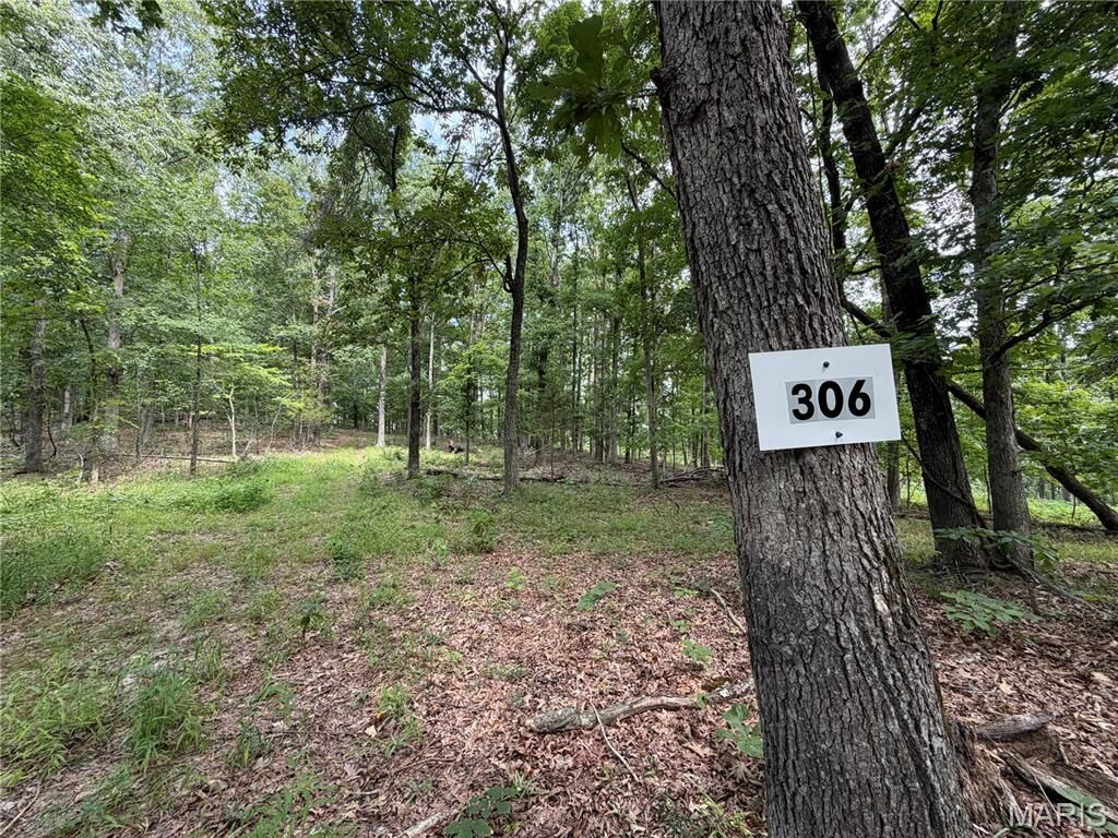 Property Photo:  #306 Madison 410  MO 63645 