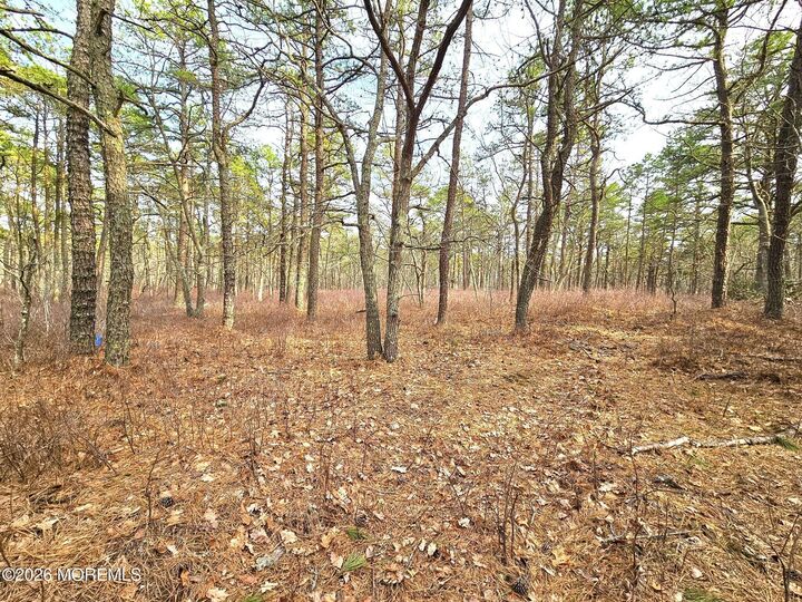 Property Photo:  17 Birchwood Drive  NJ 08087 