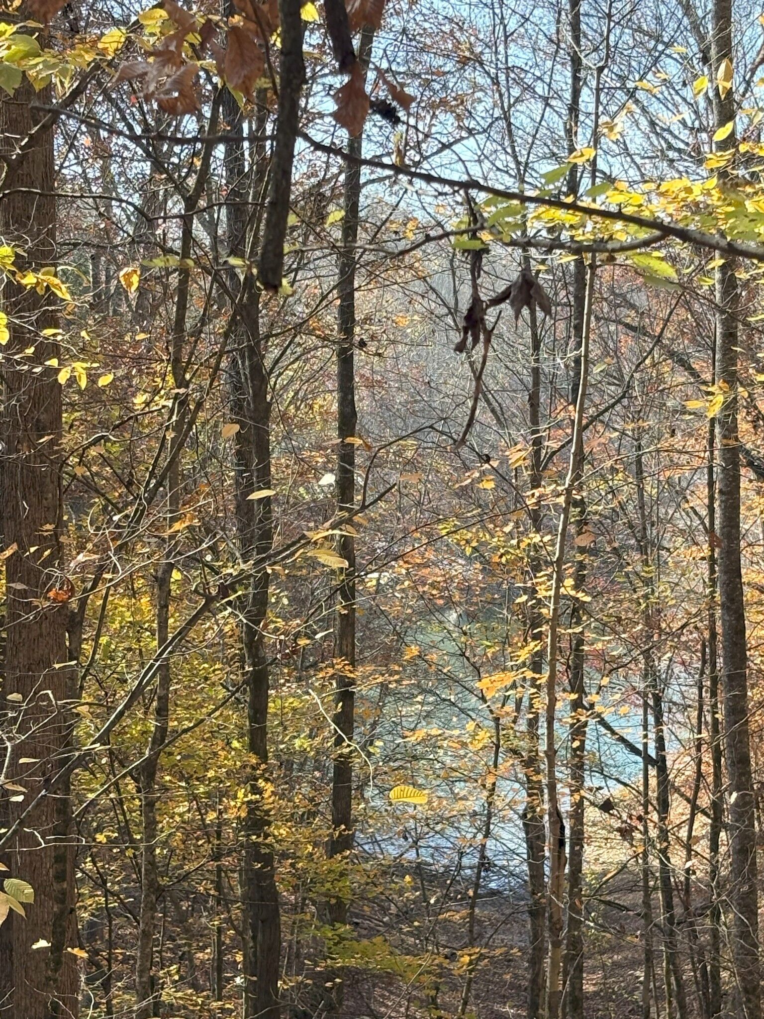 Property Photo:  0 Old Tullahoma Rd  TN 37330 