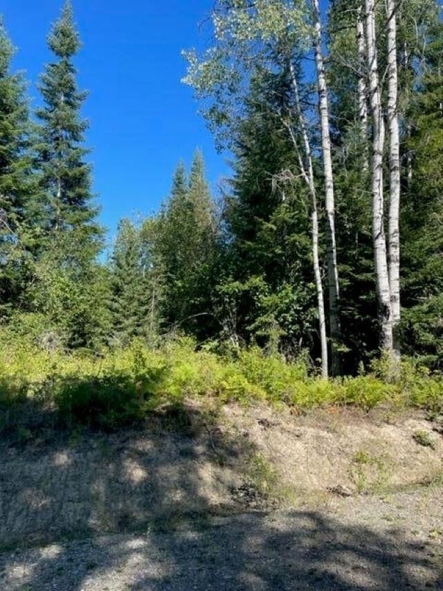 Property Photo: 3xx Lot 14 N Leclerc Rd WA 99139