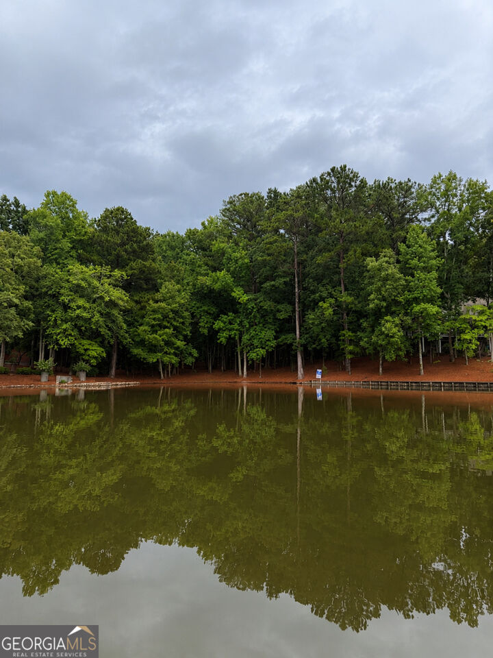 Property Photo:  1290 Tal Lewis Road  GA 30678 
