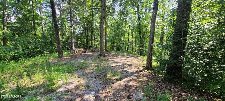 Property Photo: 1011 Carrs Creek Rd TN 37882