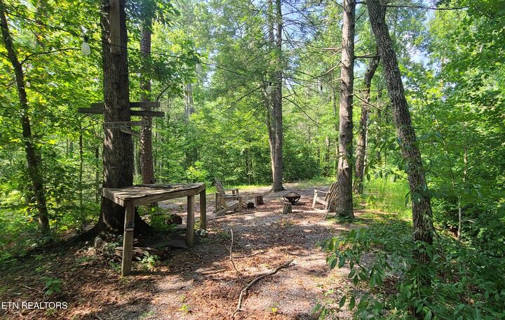 Property Photo:  1011 Carrs Creek Rd  TN 37882 