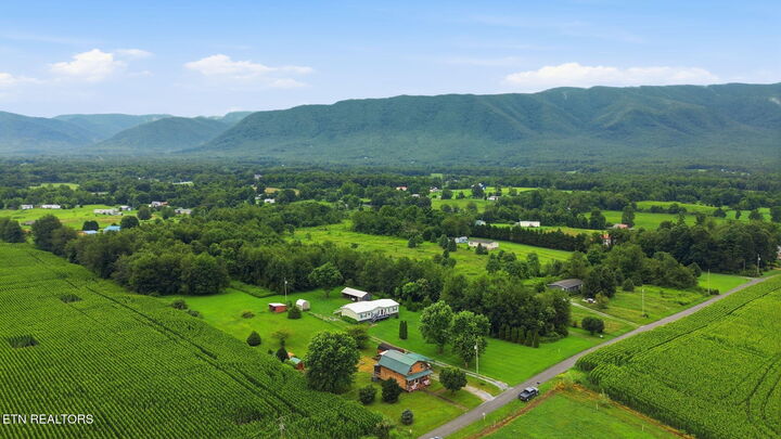 Property Photo:  445 Ricker Rd  TN 37743 