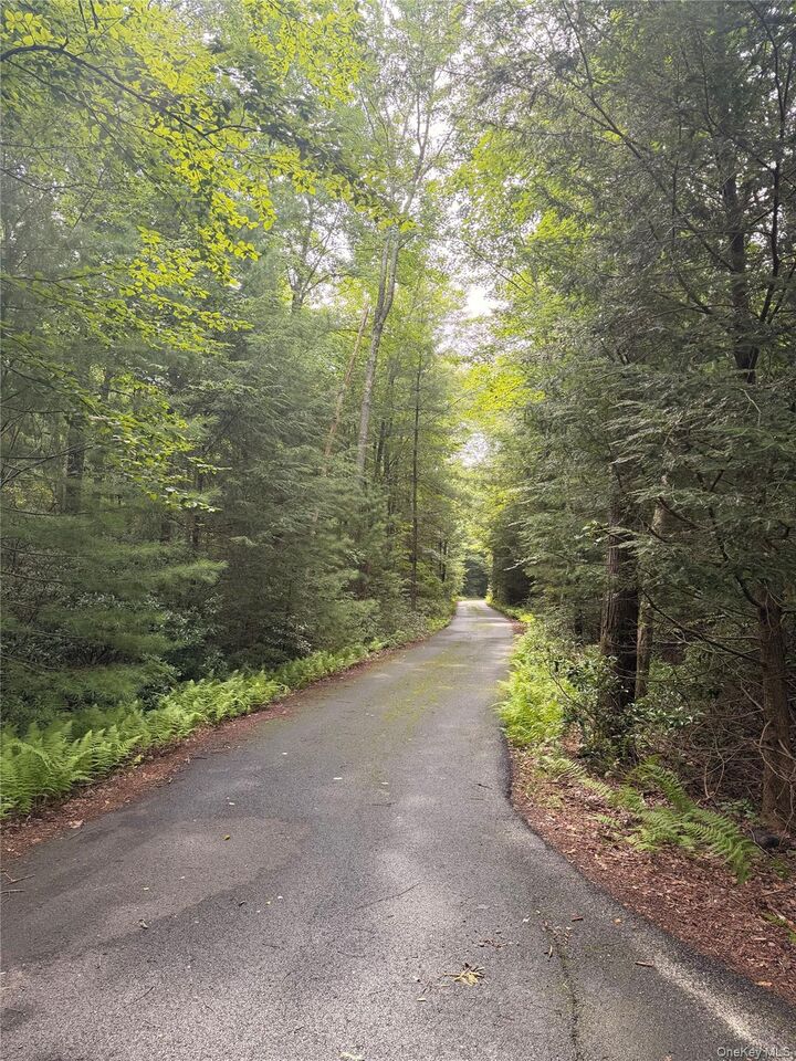Property Photo:  223 Spook Hole Road N  NY 12428 