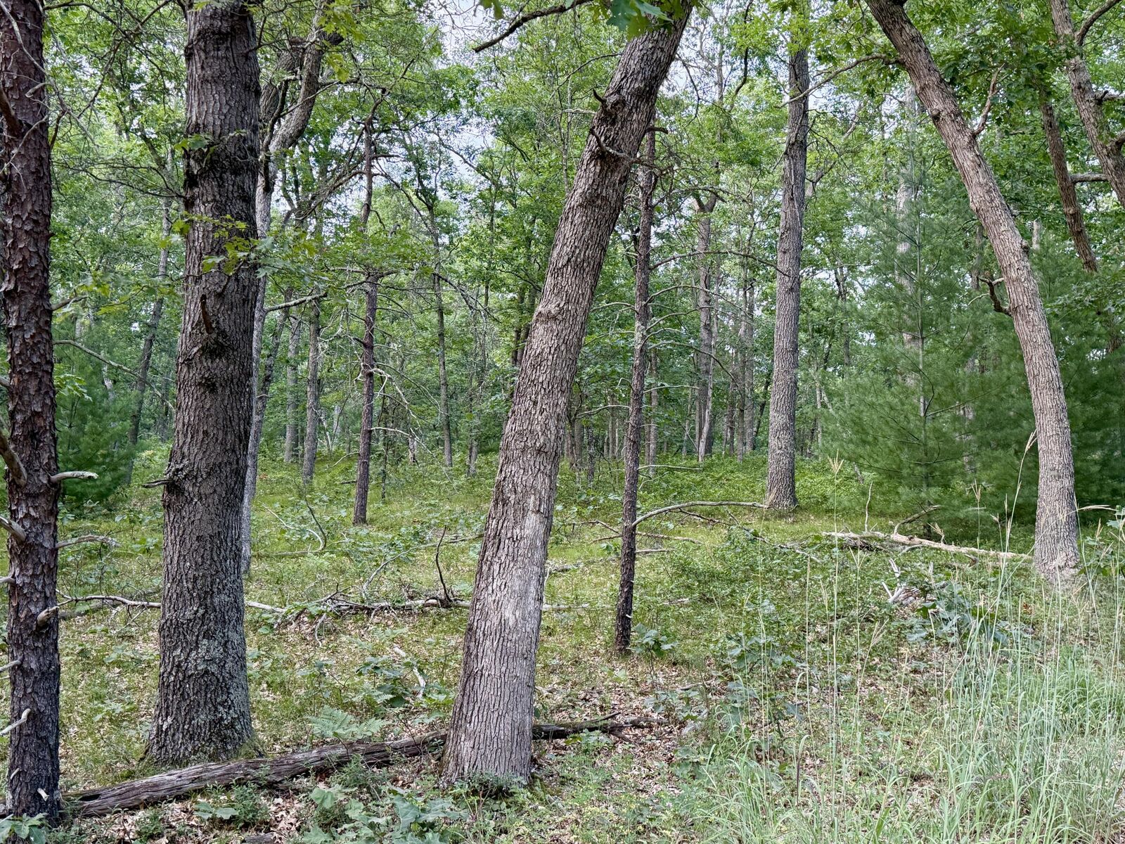 Property Photo:  2A Steinberg Road  MI 49660 