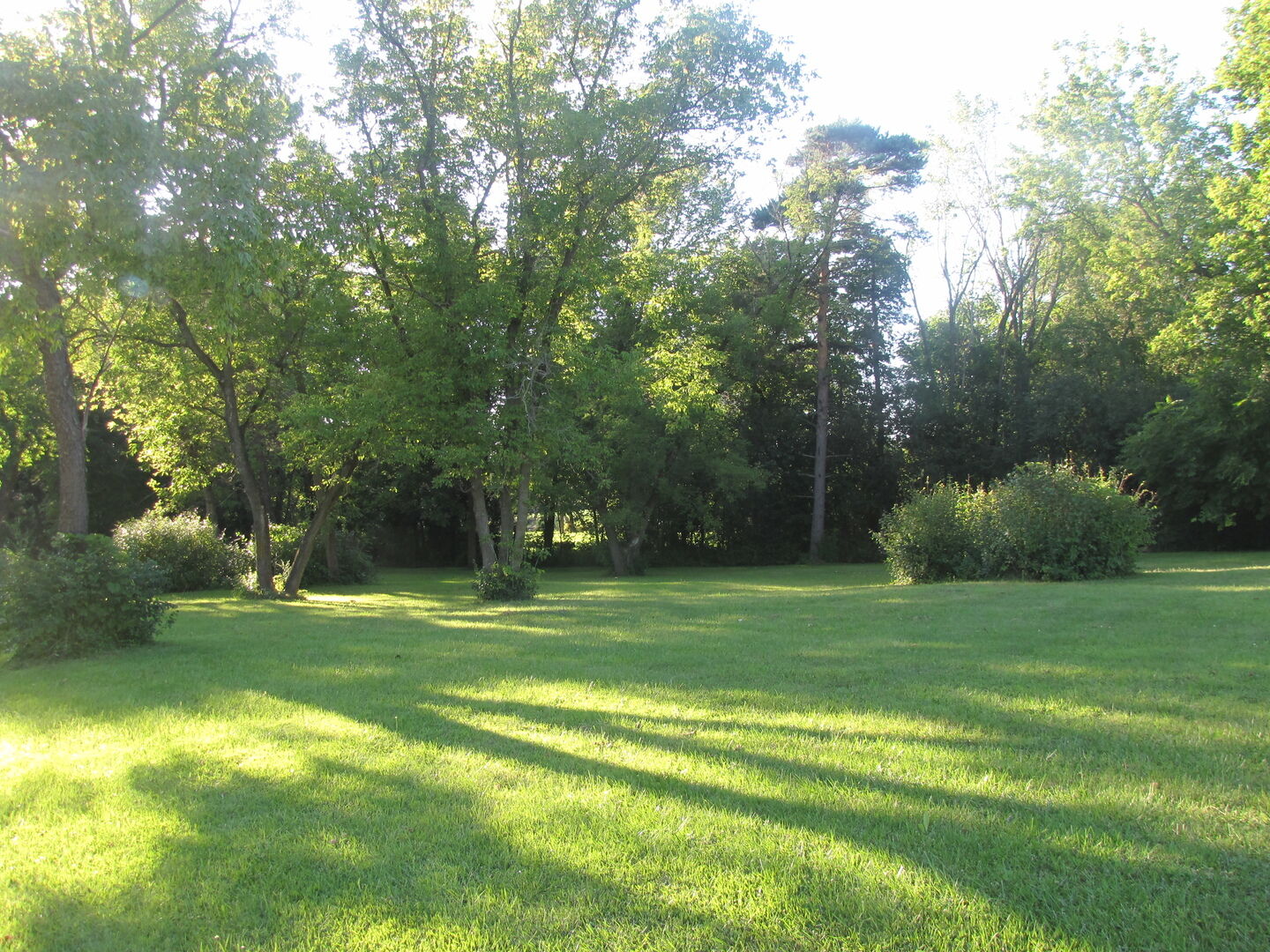 Property Photo:  24570 W Blackcherry Lane  IL 60041 
