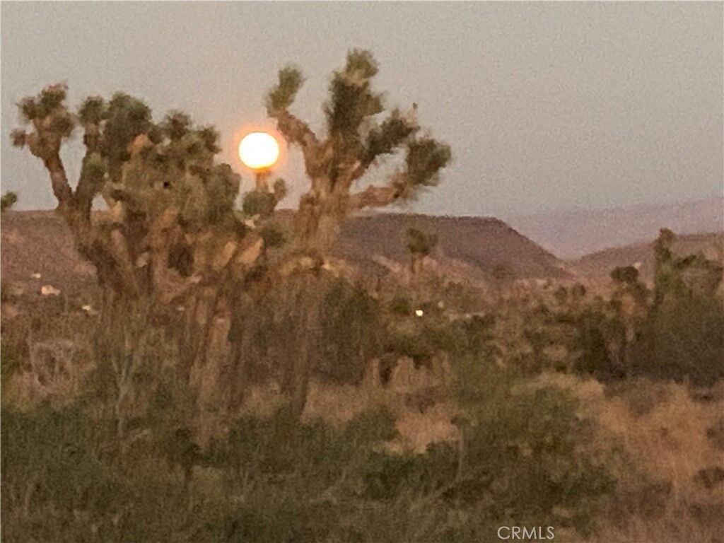 Property Photo: 100 Gods Way Love Rd Road CA 92268