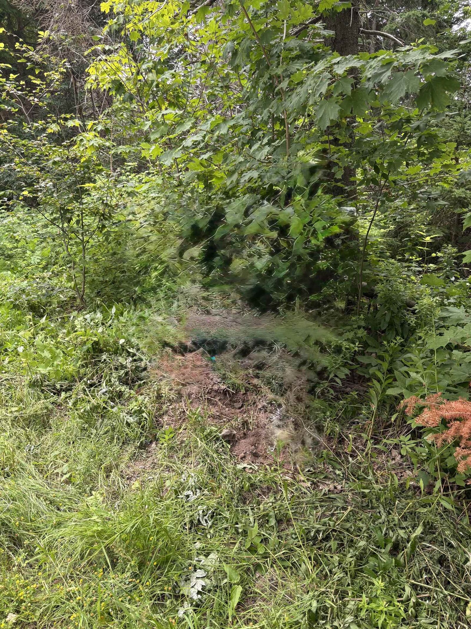 Property Photo:  Lot Campbell Road  PE C0A 1R0 