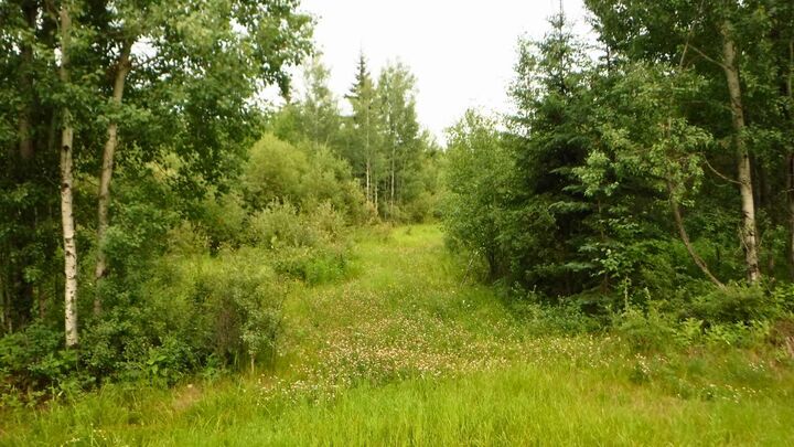 Property Photo:  Range Road 231  AB T0H 3N0 