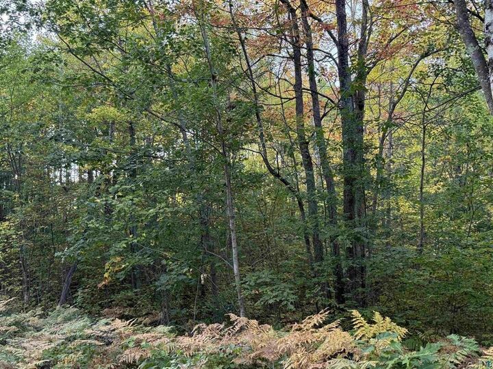 Property Photo: 000 US Highway 2 WI 54847