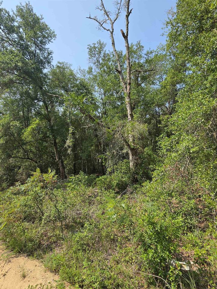 Property Photo: Sherman Drive Circle FL 32148