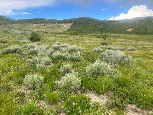 Property Photo:  5465 N Lone Hill Dr 1 &Amp 2  UT 84049 