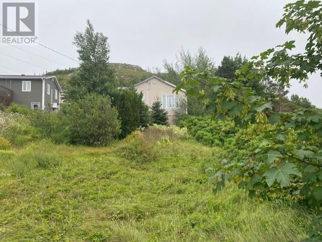 Property Photo: 226-230 Main Road East Road NL A0A 3S0