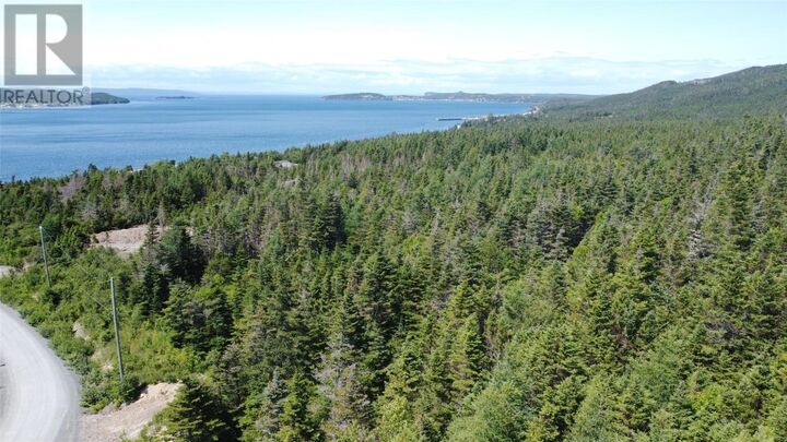 Property Photo:  43 Lakeside Drive  NL A0B 1R0 