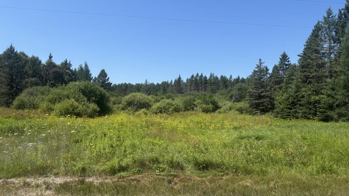 Property Photo: Tbd Simmons Rd MI 49745