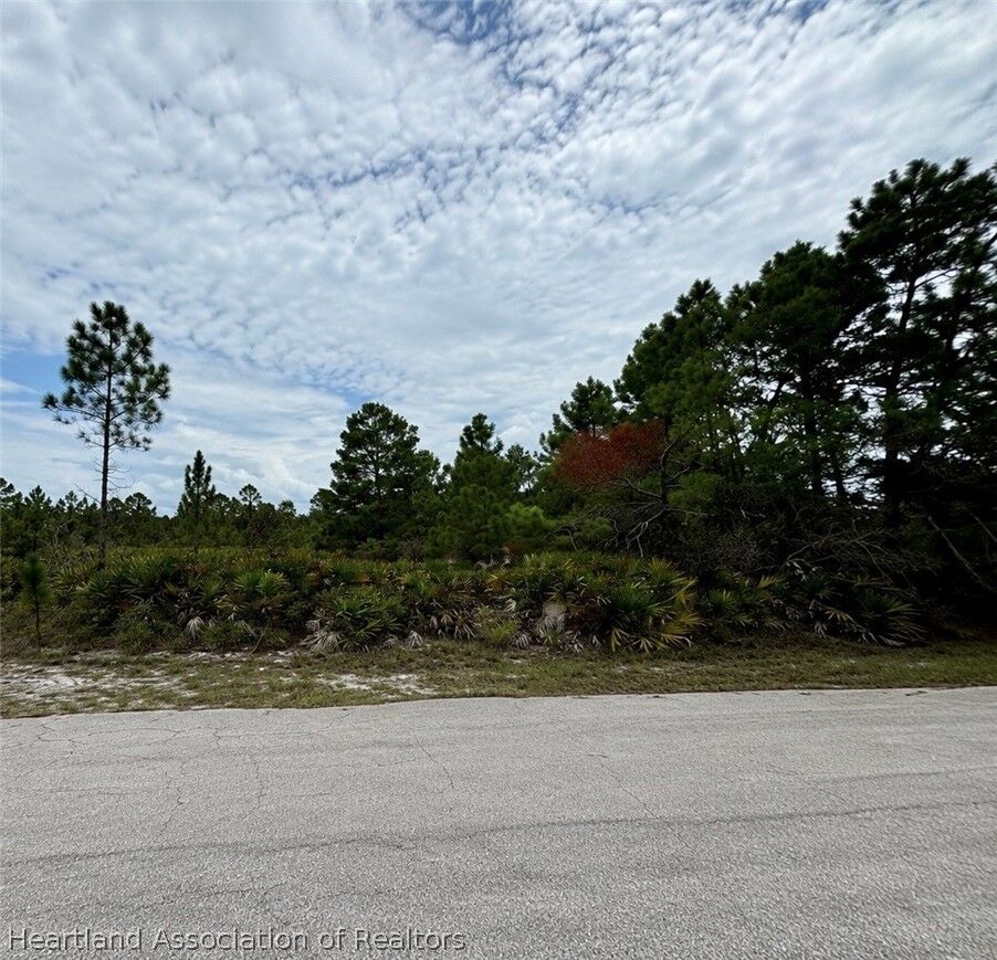 Property Photo:  3342 Barn Swallow Avenue  FL 33852 